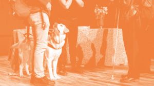 Visite tactile et sonore